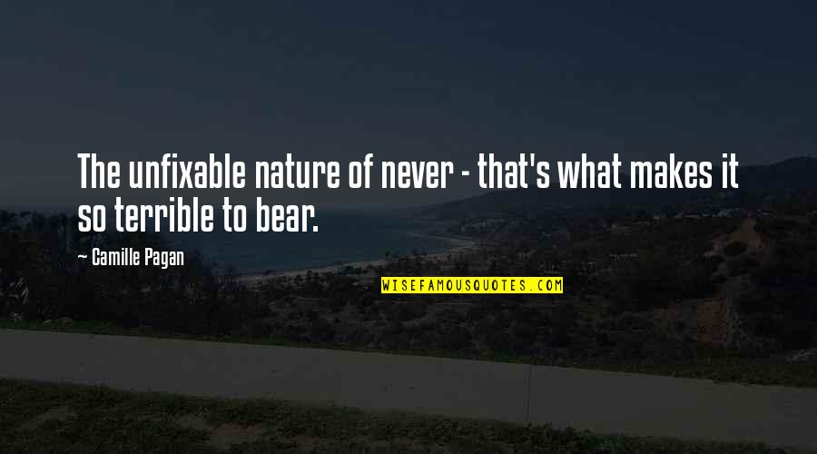 Sunaria Quotes By Camille Pagan: The unfixable nature of never - that's what