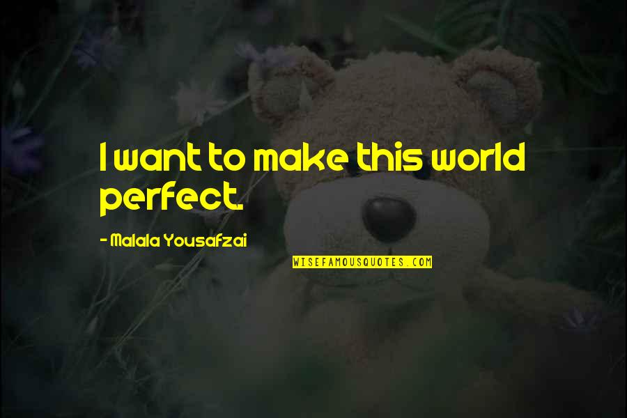 Sunbath Quotes By Malala Yousafzai: I want to make this world perfect.