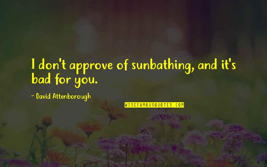 Sunbathing Quotes By David Attenborough: I don't approve of sunbathing, and it's bad