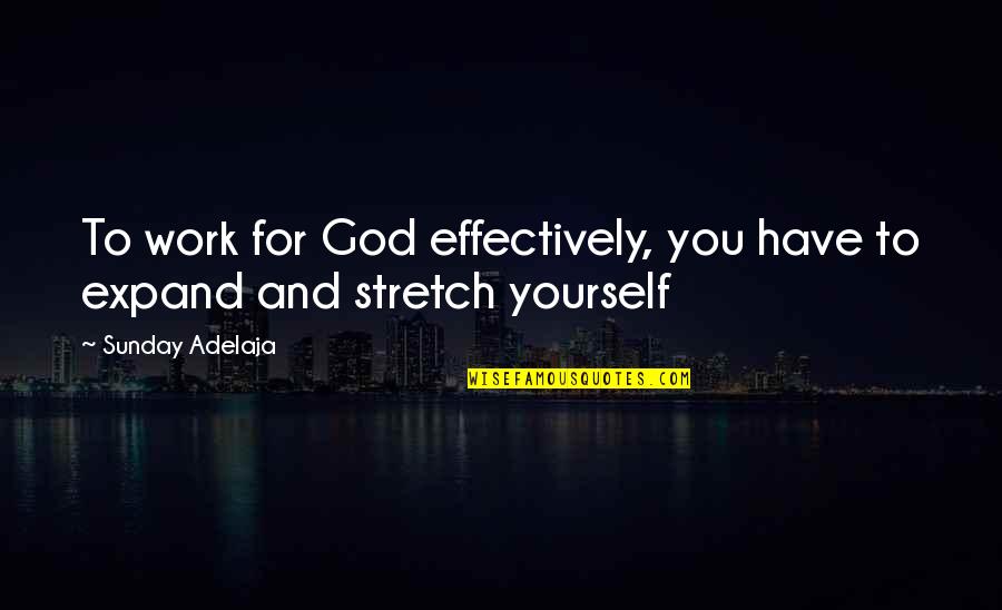 Sunbonnets Quotes By Sunday Adelaja: To work for God effectively, you have to