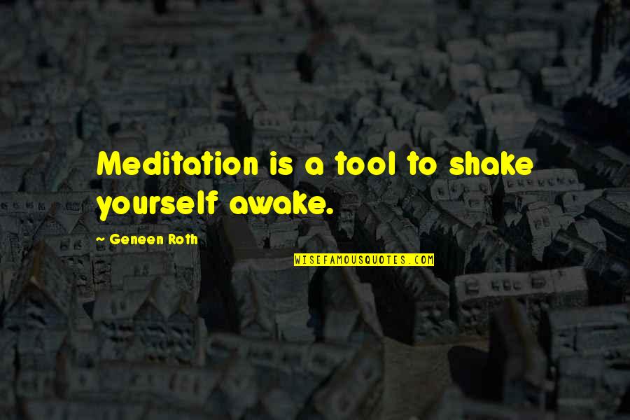 Sunce Quotes By Geneen Roth: Meditation is a tool to shake yourself awake.