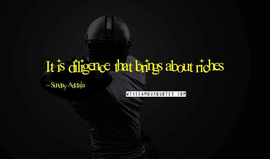 Sunday Adelaja quotes: It is diligence that brings about riches