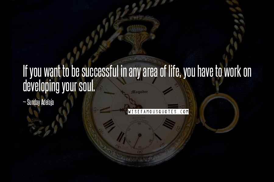 Sunday Adelaja quotes: If you want to be successful in any area of life, you have to work on developing your soul.