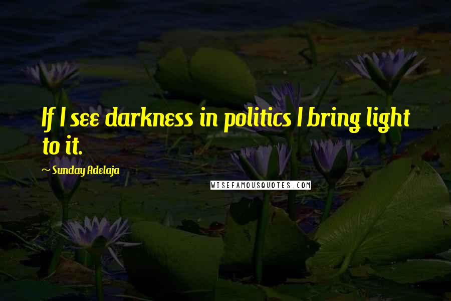 Sunday Adelaja quotes: If I see darkness in politics I bring light to it.