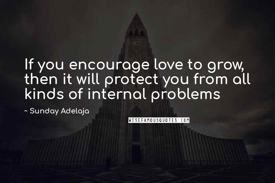 Sunday Adelaja quotes: If you encourage love to grow, then it will protect you from all kinds of internal problems