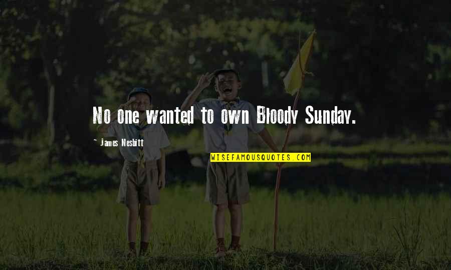 Sunday Bloody Sunday Quotes By James Nesbitt: No one wanted to own Bloody Sunday.