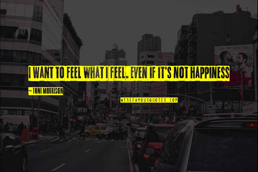 Sunday Boss Babe Quotes By Toni Morrison: I want to feel what I feel. Even Sunday Boss Babe Quotes By Toni Morrison: I want to feel what I feel. Even