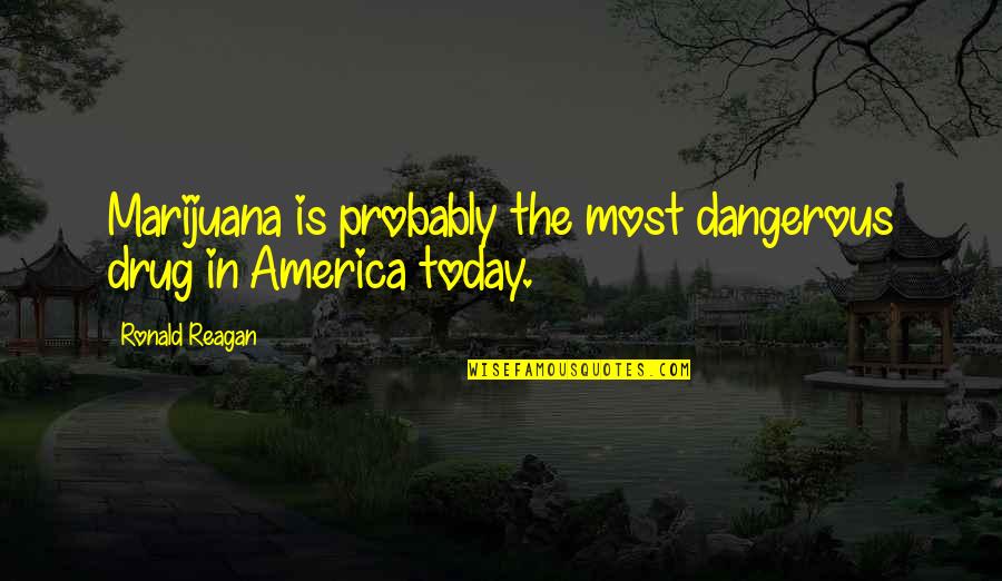 Sunday Dinners Quotes By Ronald Reagan: Marijuana is probably the most dangerous drug in Sunday Dinners Quotes By Ronald Reagan: Marijuana is probably the most dangerous drug in