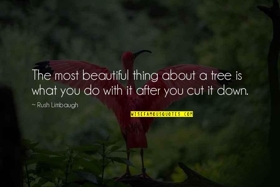 Sunday Excitement Quotes By Rush Limbaugh: The most beautiful thing about a tree is