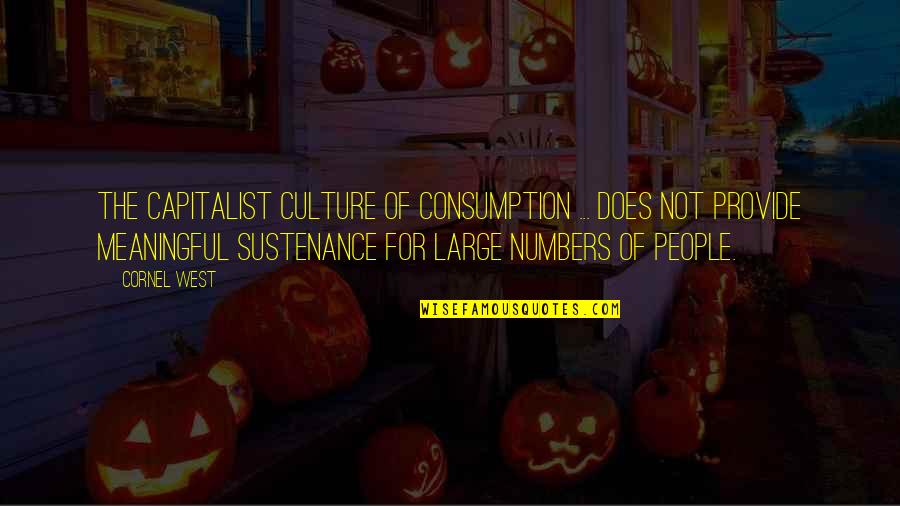 Sunday Feels Quotes By Cornel West: The capitalist culture of consumption ... does not Sunday Feels Quotes By Cornel West: The capitalist culture of consumption ... does not