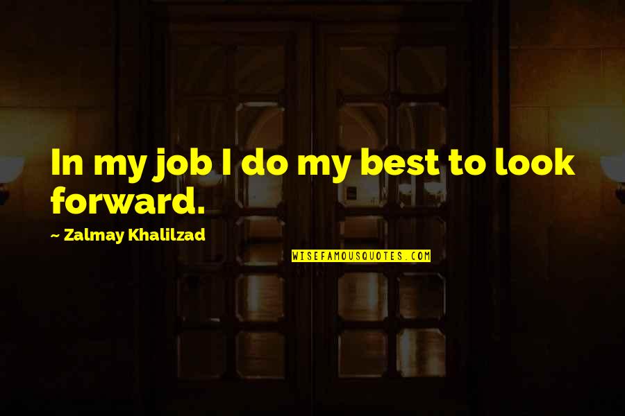 Sunday Session Quotes By Zalmay Khalilzad: In my job I do my best to