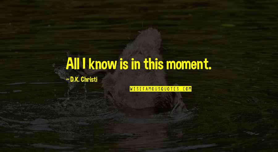Sundbys Trailer Quotes By D.K. Christi: All I know is in this moment.