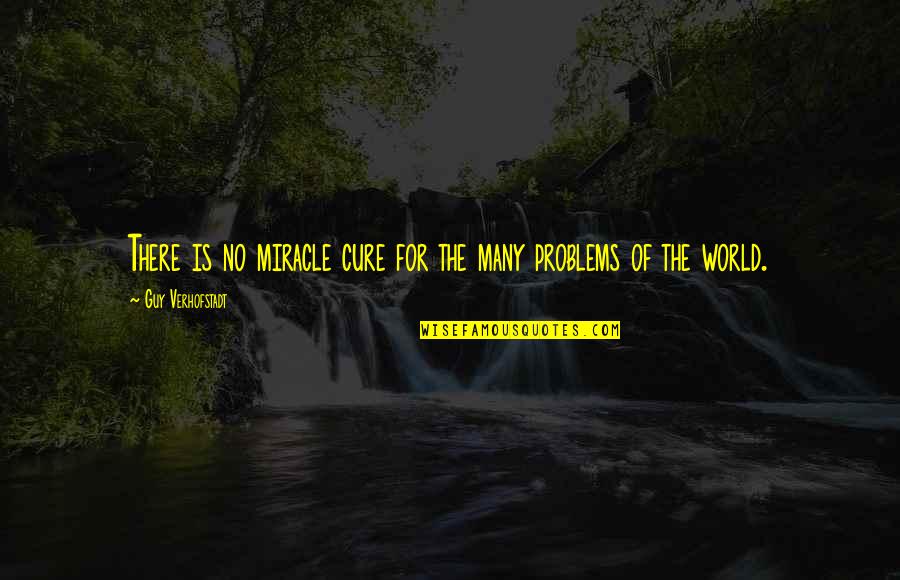 Sundry And Vice Quotes By Guy Verhofstadt: There is no miracle cure for the many