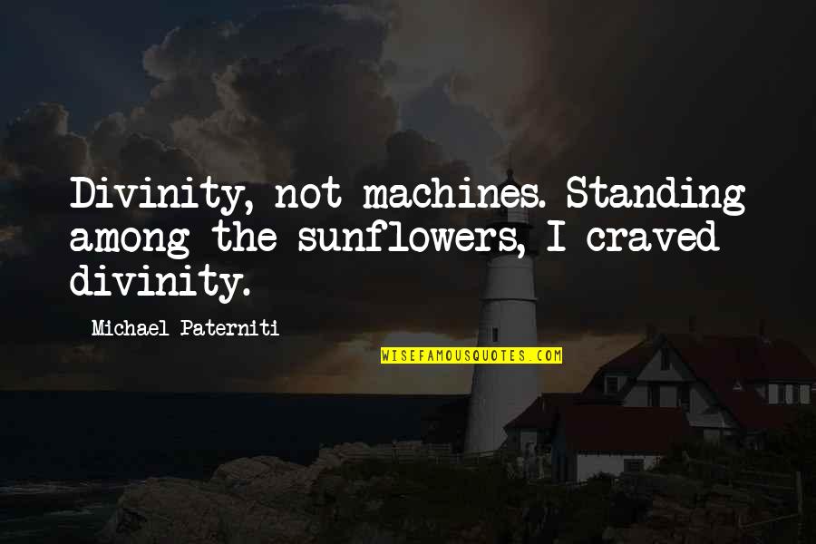 Sunflowers Quotes By Michael Paterniti: Divinity, not machines. Standing among the sunflowers, I