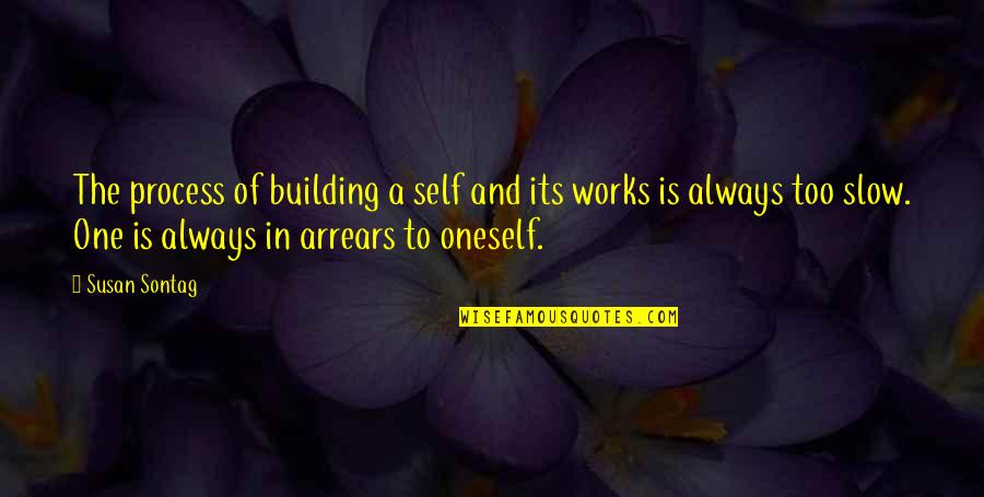 Sunglass Funny Quotes By Susan Sontag: The process of building a self and its Sunglass Funny Quotes By Susan Sontag: The process of building a self and its