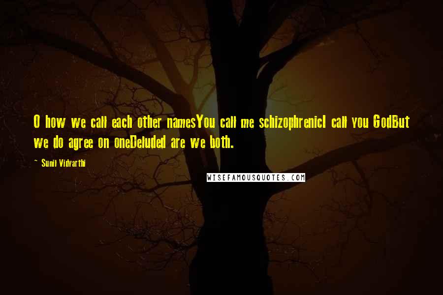 Sunil Vidyarthi quotes: O how we call each other namesYou call me schizophrenicI call you GodBut we do agree on oneDeluded are we both.