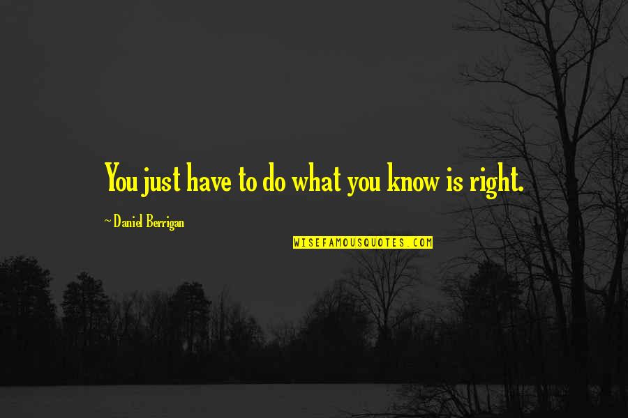 Sunitha Upadrashta Quotes By Daniel Berrigan: You just have to do what you know