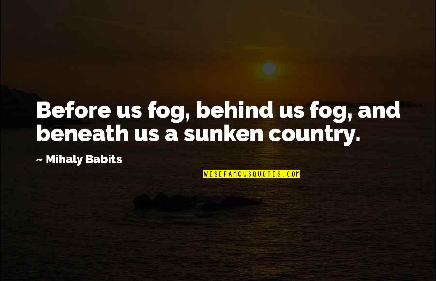 Sunken Quotes By Mihaly Babits: Before us fog, behind us fog, and beneath
