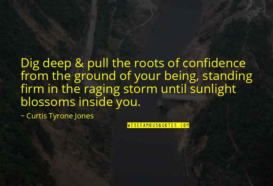 Sunlight And Life Quotes By Curtis Tyrone Jones: Dig deep & pull the roots of confidence