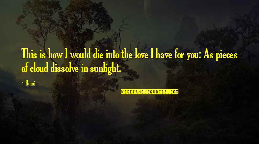 Sunlight And Love Quotes By Rumi: This is how I would die into the