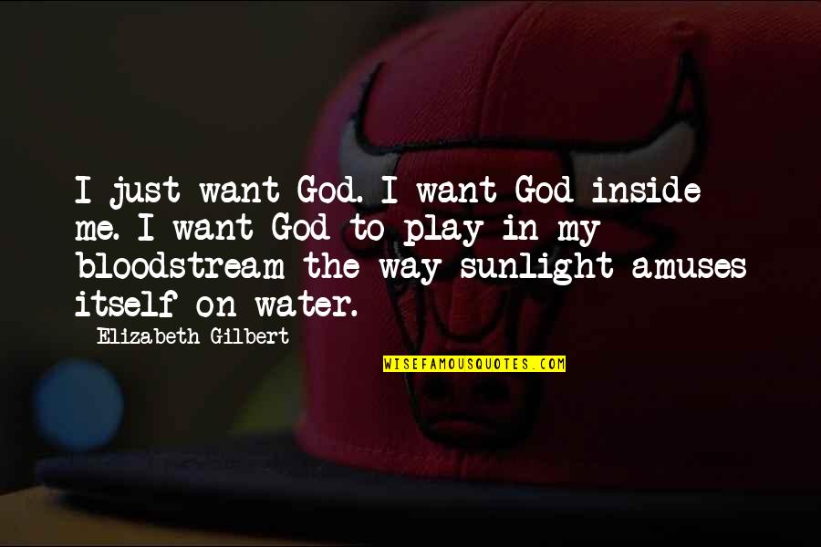 Sunlight On Water Quotes By Elizabeth Gilbert: I just want God. I want God inside