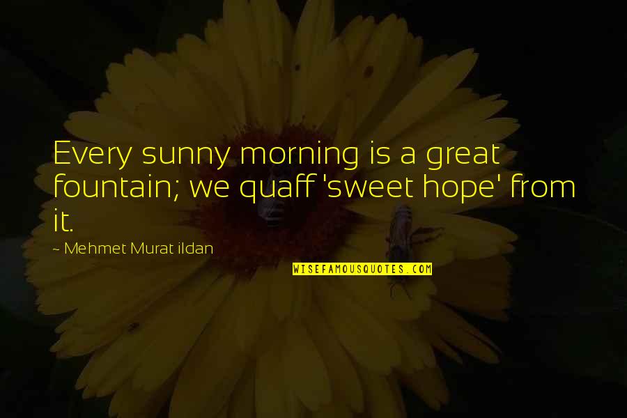Sunny Quotes By Mehmet Murat Ildan: Every sunny morning is a great fountain; we