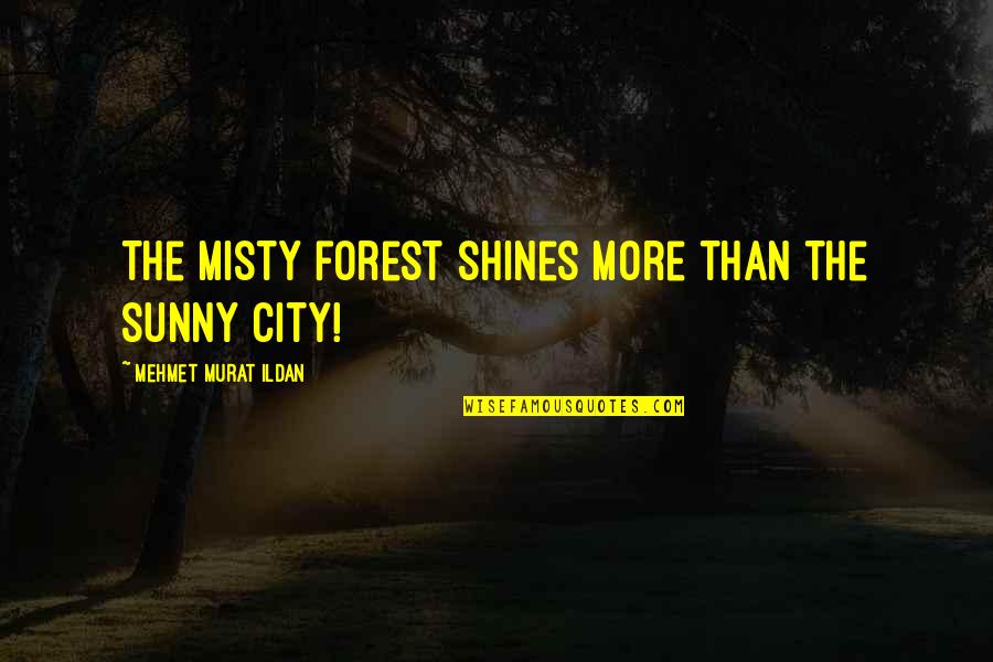 Sunny Quotes By Mehmet Murat Ildan: The misty forest shines more than the sunny