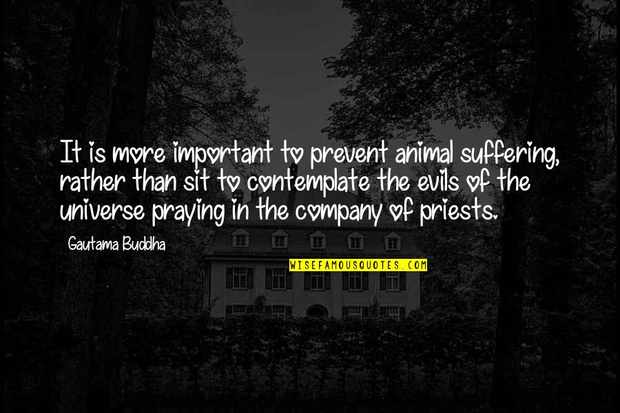 Sunpapers Obits Quotes By Gautama Buddha: It is more important to prevent animal suffering,