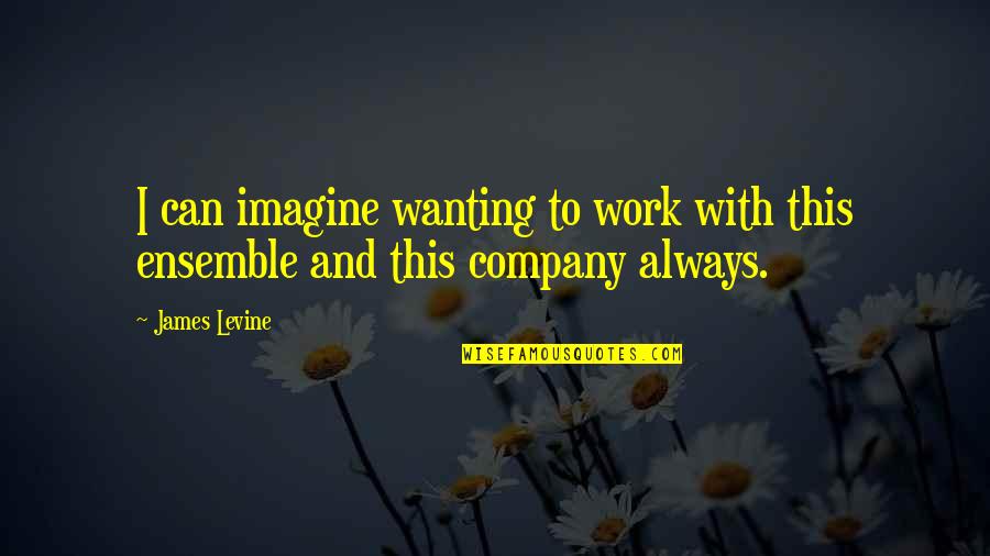 Sunscreen Funny Quotes By James Levine: I can imagine wanting to work with this
