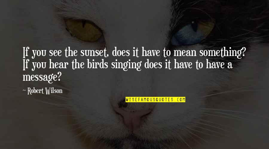 Sunset And Birds Quotes By Robert Wilson: If you see the sunset, does it have