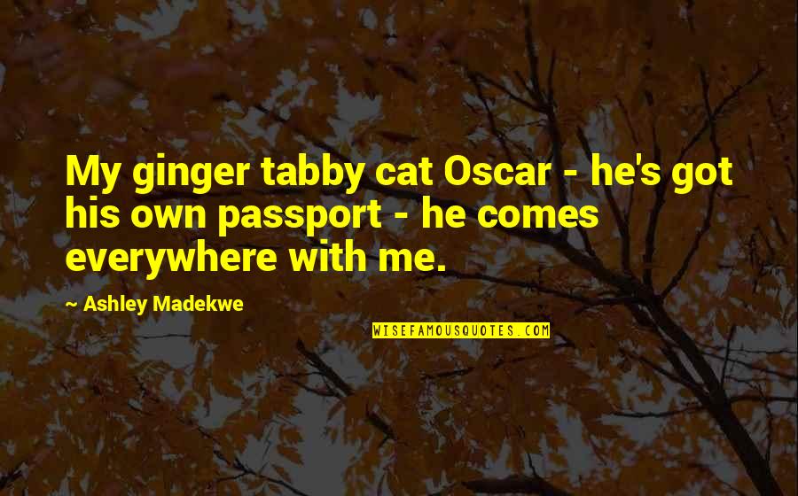 Sunsets Over The Ocean Quotes By Ashley Madekwe: My ginger tabby cat Oscar - he's got