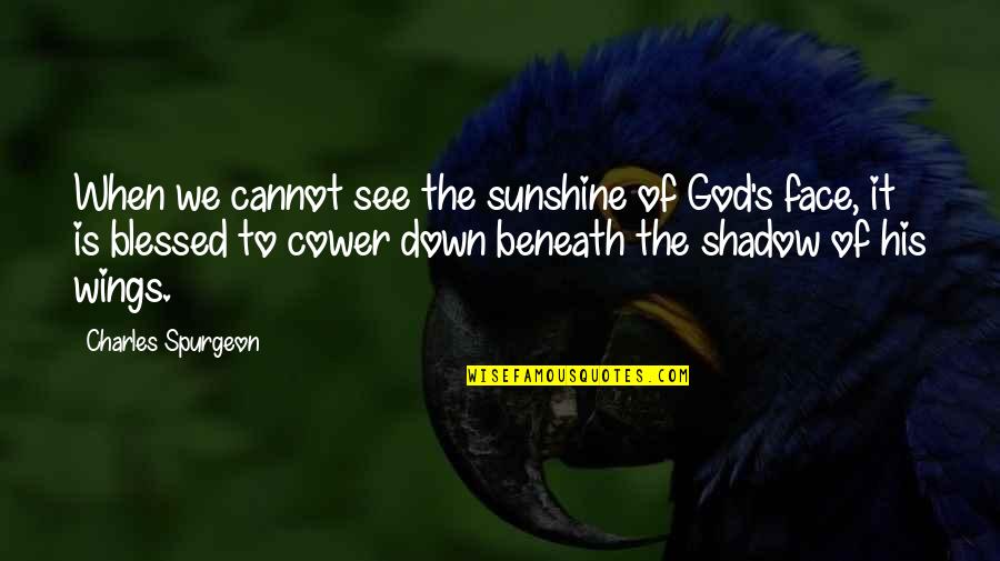 Sunshine And Shadow Quotes By Charles Spurgeon: When we cannot see the sunshine of God's