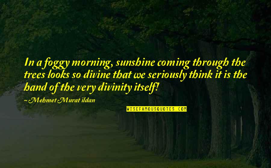 Sunshine And Trees Quotes By Mehmet Murat Ildan: In a foggy morning, sunshine coming through the