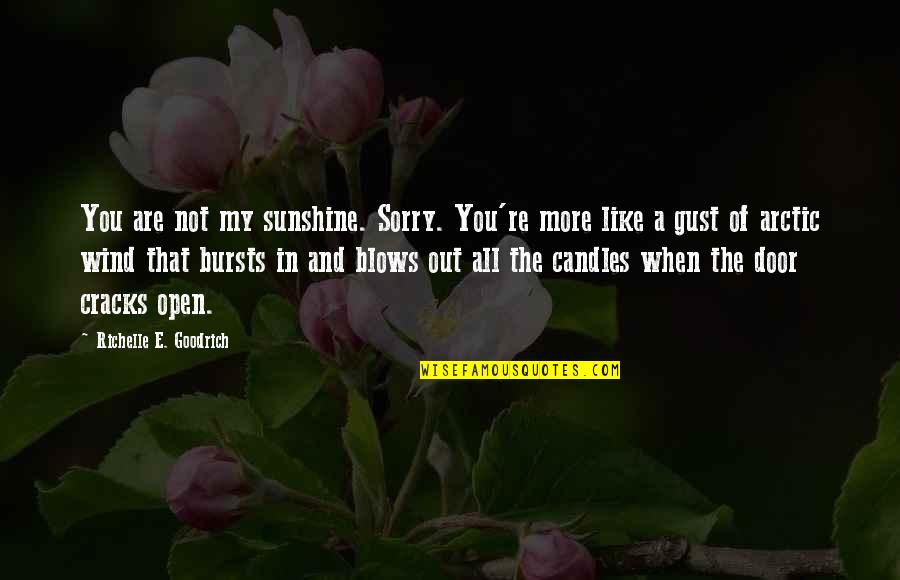 Sunshine And Wind Quotes By Richelle E. Goodrich: You are not my sunshine. Sorry. You're more Sunshine And Wind Quotes By Richelle E. Goodrich: You are not my sunshine. Sorry. You're more