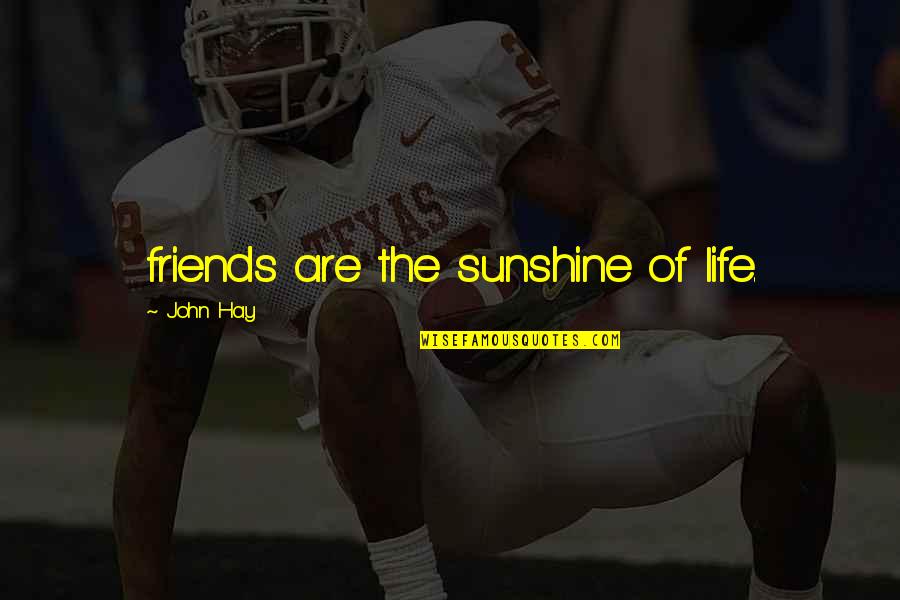 Sunshine In Life Quotes By John Hay: friends are the sunshine of life.