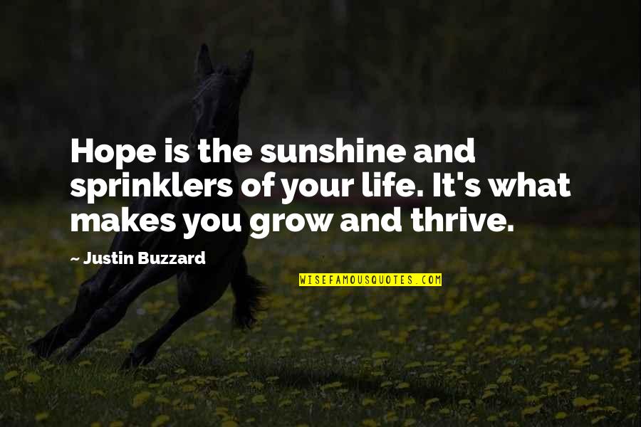 Sunshine In Life Quotes By Justin Buzzard: Hope is the sunshine and sprinklers of your