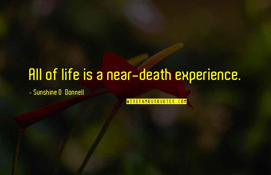 Sunshine In Life Quotes By Sunshine O'Donnell: All of life is a near-death experience.