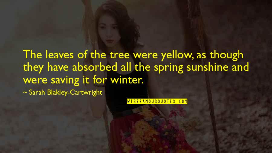 Sunshine In Winter Quotes By Sarah Blakley-Cartwright: The leaves of the tree were yellow, as