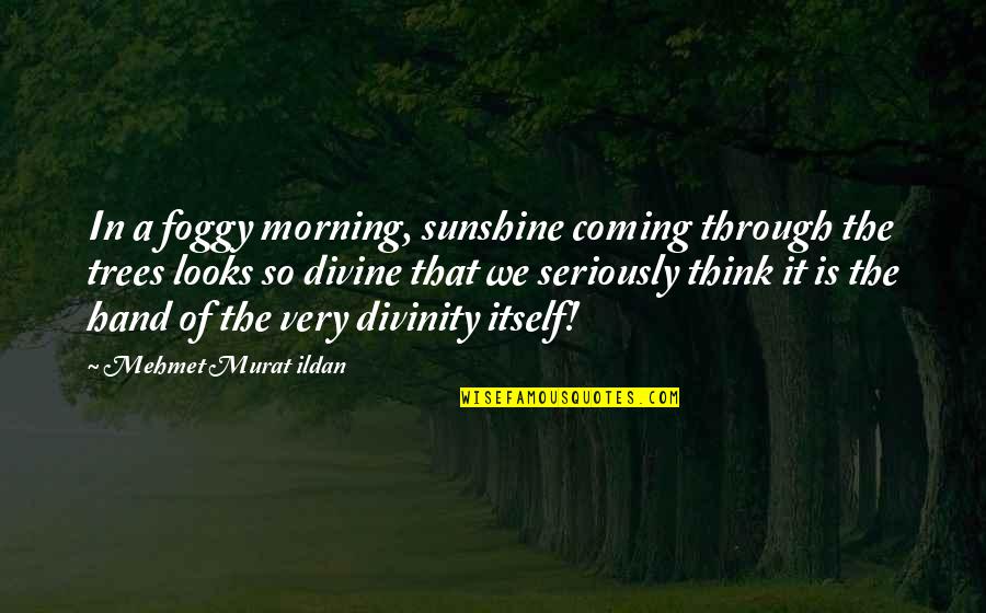 Sunshine Morning Quotes By Mehmet Murat Ildan: In a foggy morning, sunshine coming through the