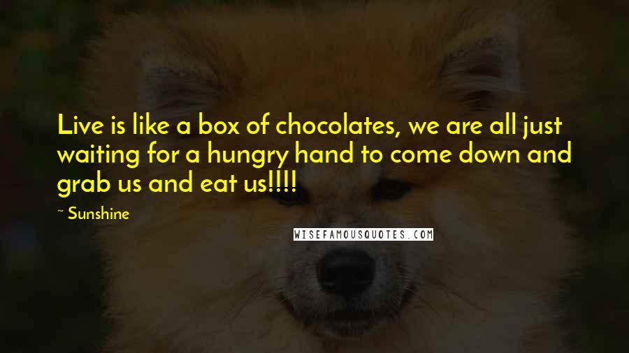 Sunshine quotes: Live is like a box of chocolates, we are all just waiting for a hungry hand to come down and grab us and eat us!!!! Sunshine quotes: Live is like a box of chocolates, we are all just waiting for a hungry hand to come down and grab us and eat us!!!!