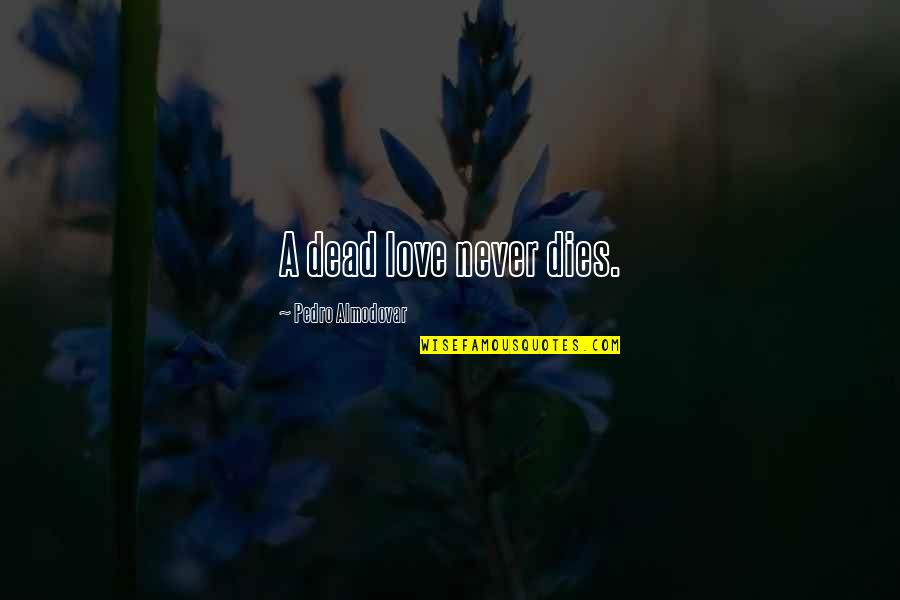 Sunshower Quotes By Pedro Almodovar: A dead love never dies.