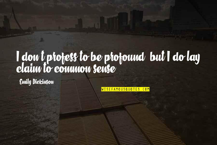 Sunstrokes Quotes By Emily Dickinson: I don't profess to be profound; but I