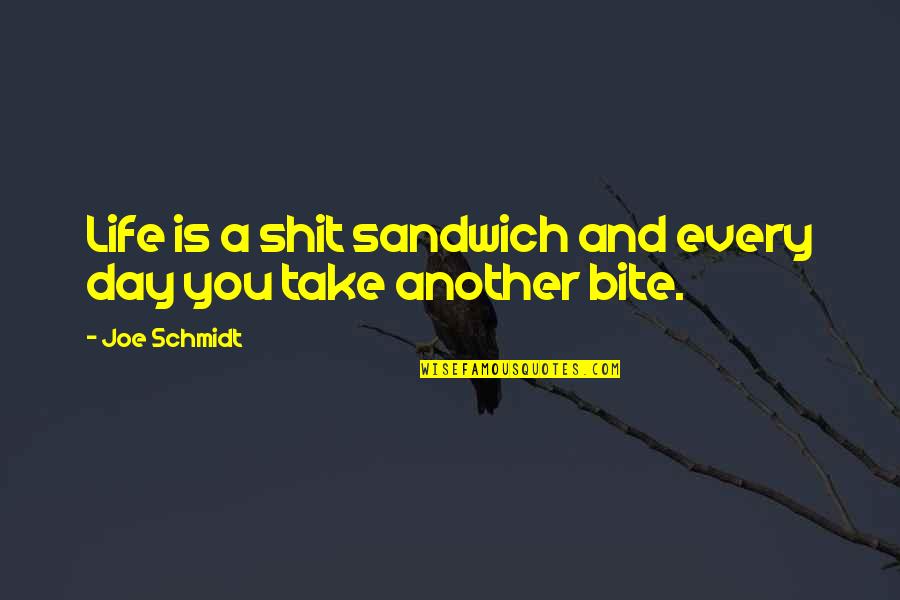 Suntile Quotes By Joe Schmidt: Life is a shit sandwich and every day