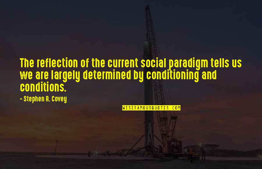 Suntory Toki Quotes By Stephen R. Covey: The reflection of the current social paradigm tells