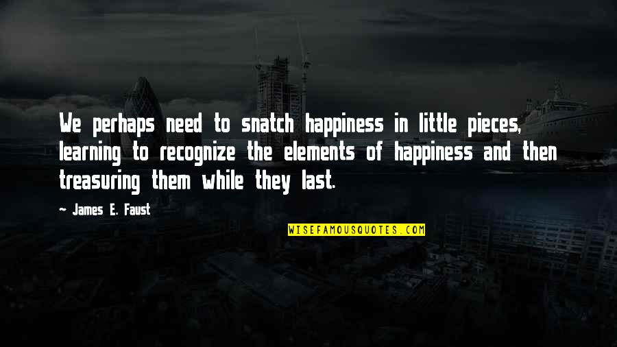 Super Funny Status Quotes By James E. Faust: We perhaps need to snatch happiness in little