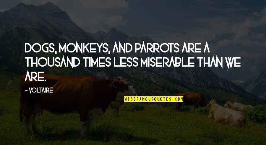 Super High Guy Quotes By Voltaire: Dogs, monkeys, and parrots are a thousand times