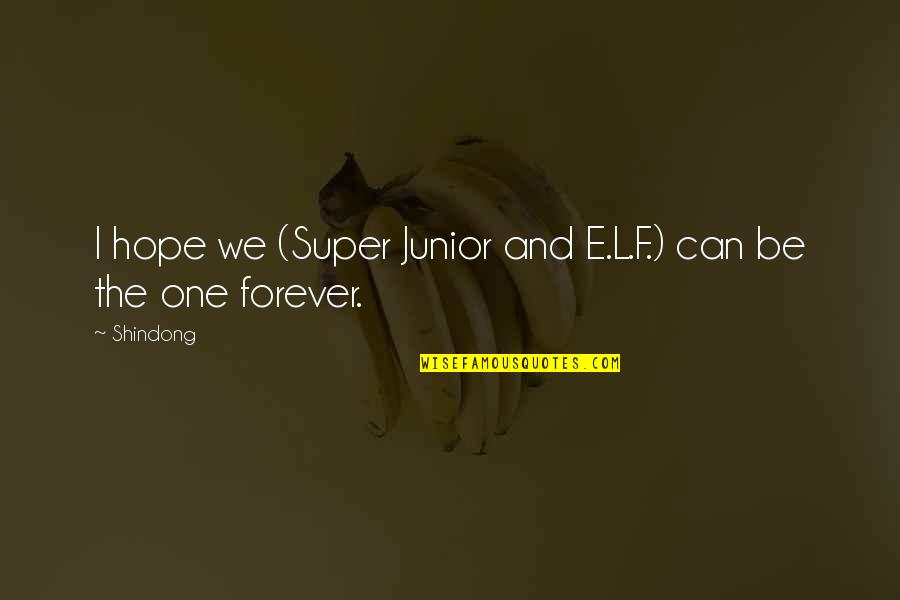 Super Junior And E.l.f. Forever Quotes By Shindong: I hope we (Super Junior and E.L.F.) can