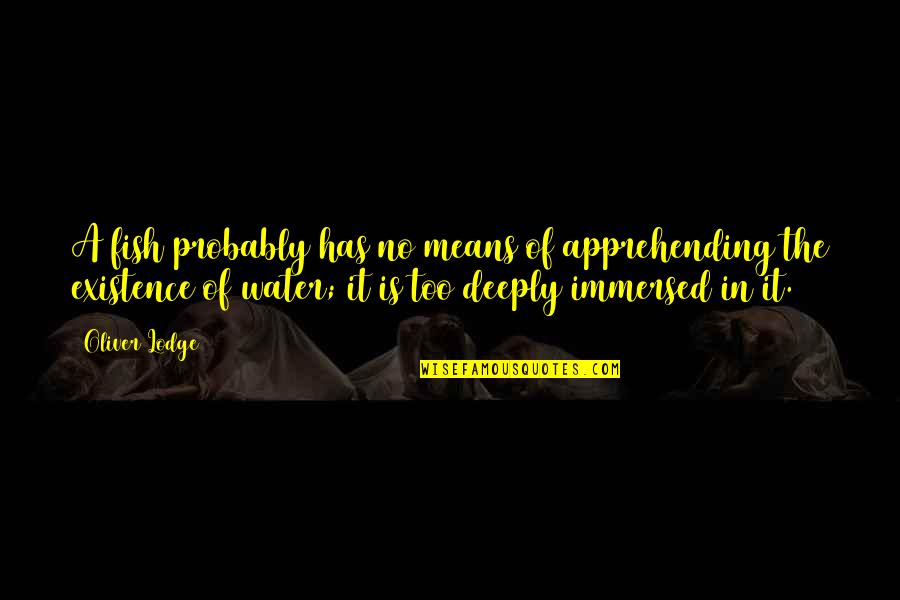 Super Long Eyelashes Quotes By Oliver Lodge: A fish probably has no means of apprehending