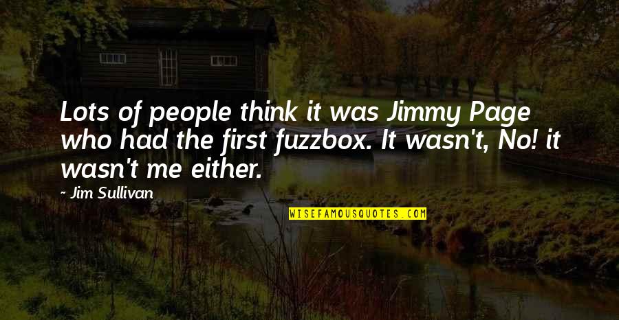 Super Sad Love Story Quotes By Jim Sullivan: Lots of people think it was Jimmy Page