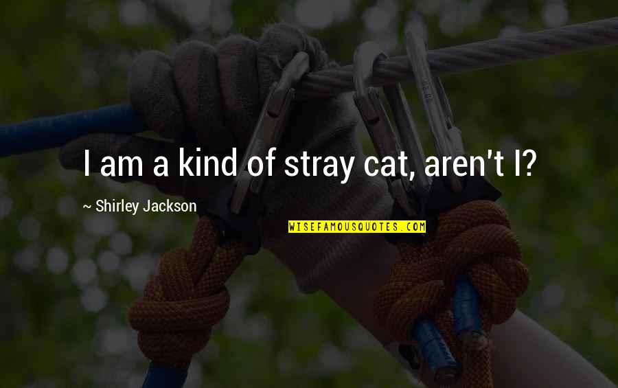 Super Sad True Love Story Book Quotes By Shirley Jackson: I am a kind of stray cat, aren't